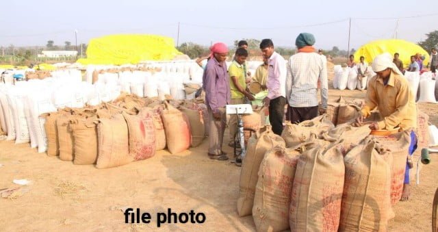 कलेक्टर ने कहा इन पट्टाधारी किसानों का धान विक्रय हेतु पंजीयन अनिवार्य रूप से करें..